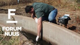 Forum Nuus: AfriForum-takke toets water vir jaarlikse blou-en-groendruppelverslag 01-08-2023