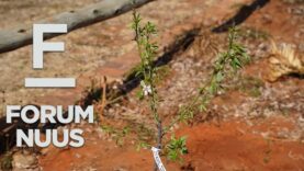 Forum Nuus: AfriForum wil 1 000 bome in September plant 03-09-2024