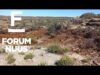 Forum Nuus: Boere het hulp nodig teen sprinkaanplaag