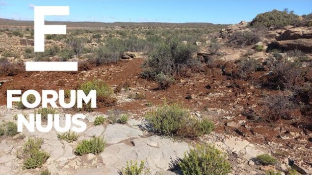 Forum Nuus: Boere het hulp nodig teen sprinkaanplaag