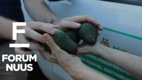 Forum Nuus: Covid-19-taakspan versprei vyf ton vars produkte in Pretoria-omgewing