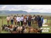 Forum Nuus: Gesamentlike inheemseveldbokprojek by AmaBhele kaJamangile-koninkryk skop af 15-12-2022