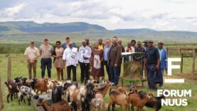 Forum Nuus: Gesamentlike inheemseveldbokprojek by AmaBhele kaJamangile-koninkryk skop af 15-12-2022