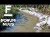 Forum Nuus: Oorwinning in Randfontein rioolsaak kan as bloudruk vir ander gemeenskappe dien