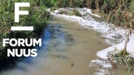 Forum Nuus: Oorwinning in Randfontein rioolsaak kan as bloudruk vir ander gemeenskappe dien