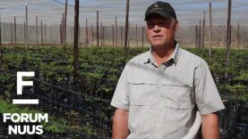 Forum Nuus: (Orania deel 5) Entrepreneurs help bou aan die ideaal van ’n dorp tot ’n stad 17-11-2022