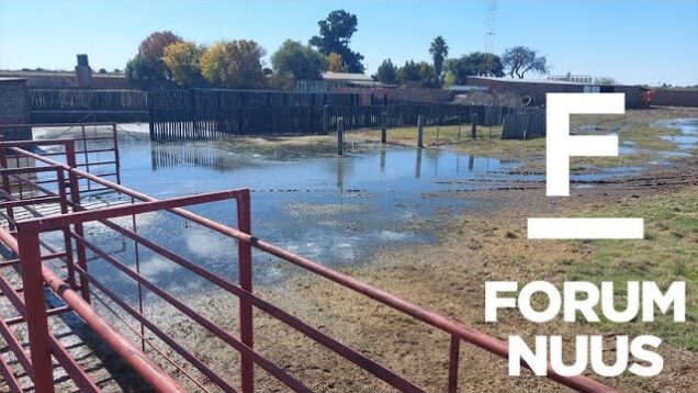 Forum Nuus: Rioolkrisis in Hertzogville-strate: AfriForum kla bestuurder aan 06-05-2022