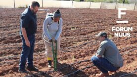 Forum Nuus: Thabake Business Enterprise-landbouprojek vorder fluks danksy hulp van AfriForum en Saai