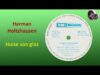 Herman Holtzhausen – Huise van glas