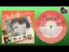 Louis van Rensburg – Voshaarnooi