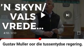 ‘n Skyn/Vals Vrede…