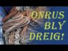 Onrus bly Dreig!