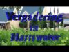 Vergadering in Hartswater