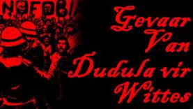 Gevaar Van Dudula vir Wittes