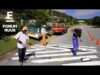 Forum Nuus: AfriForum-buurtspan maak verskil in Knysna en omgewing 07-04-2026