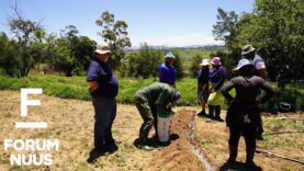 Forum Nuus: AfriForum help Batlokoa Ba Mota-gemeenskap om volhoubare groentetuin te begin 10-12-2025
