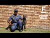 Forum Nuus: AfriForum skenk polisiehond aan SAPD in die Wes-Kaap 02-04-2026