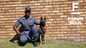 Forum Nuus: AfriForum skenk polisiehond aan SAPD in die Wes-Kaap 02-04-2026