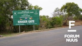 Forum Nuus: AfriForum veg vir behoud van Krugerwildtuin se naam 13-10-2025