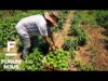 Forum Nuus: Gesamentlike landbouprojek lewer goeie oeste 28-01-2026