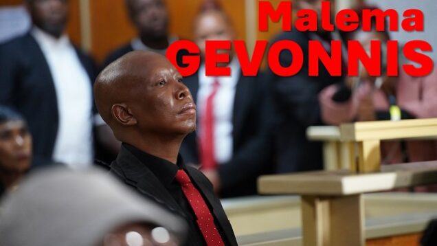 Malema gevonnis!
