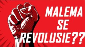 Malema Se Revolusie??