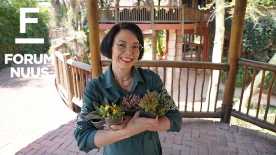 Forum Nuus: AfriForum se Groenmaand-projek: Plant vetplante uit hul verknorsing