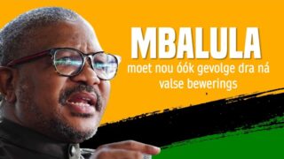 Vervolging wag ook op Fikile Mbalula