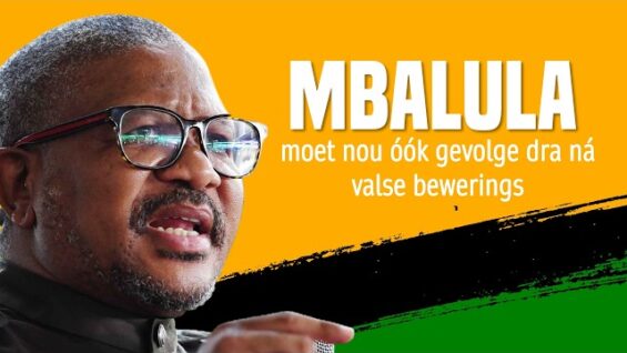 Vervolging wag ook op Fikile Mbalula